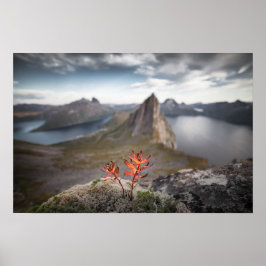 Poster Paisagem da Noruega