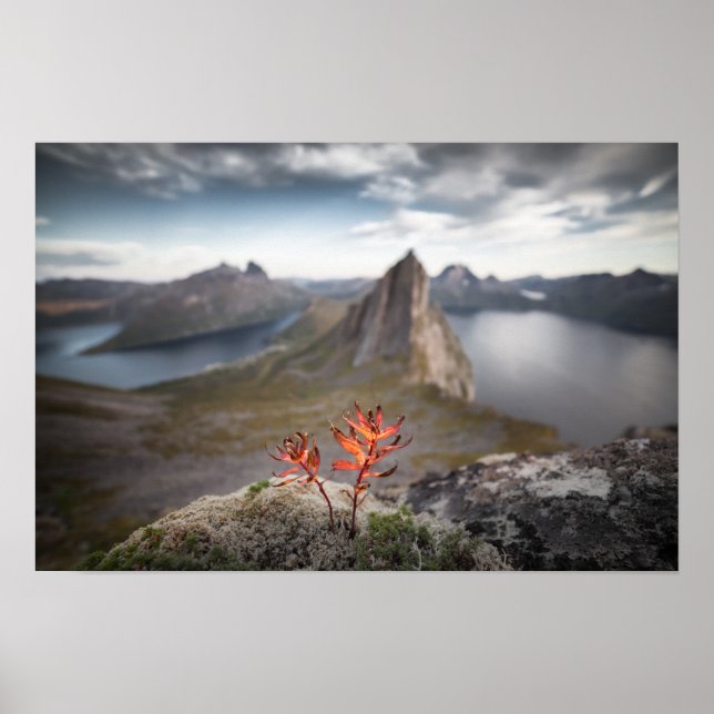 Poster Paisagem da Noruega (Frente)