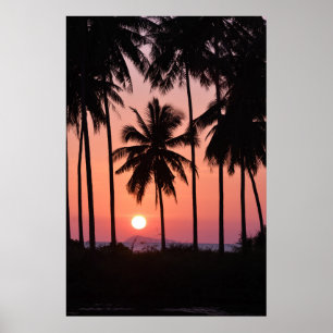 Poster Paisagem da palmeira do coco