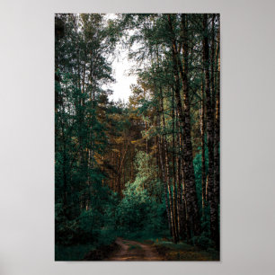 Poster Paisagem das Árvores de Aves da Floresta Natural 