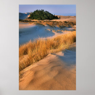 Poster Paisagem das Dunas de Areia de Oregon