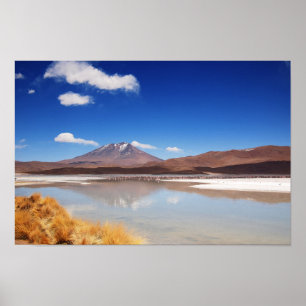Poster Paisagem de Altiplano com o vulcão em Bolívia