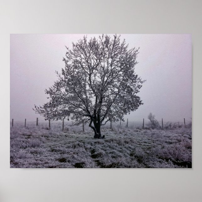 Poster Paisagem de Árvore de Inverno (Frente)