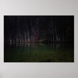 Poster Paisagem de árvores no lago