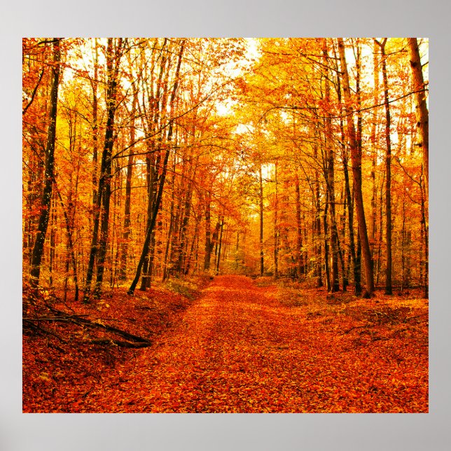 Poster Paisagem de Autumn Way (Frente)