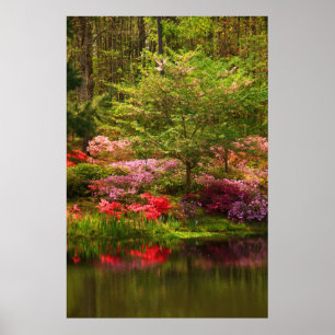 Póster Paisagem de Callaway