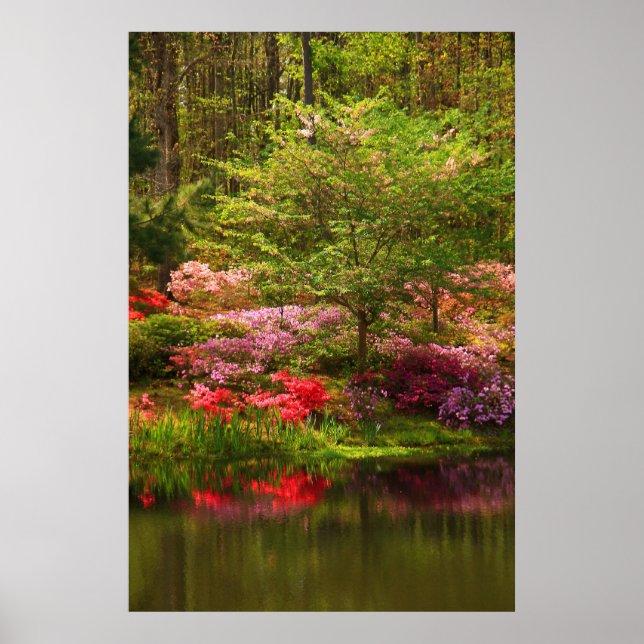 Póster Paisagem de Callaway (Frente)