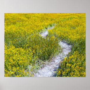 Poster Paisagem de Campo de Flor Amarelo