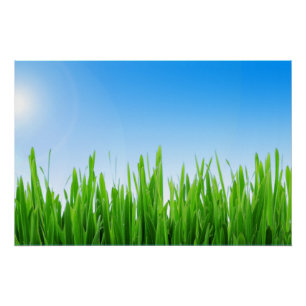 Póster Paisagem de grama verde céu azul-10826