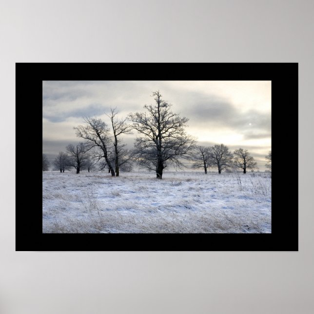 Poster paisagem de inverno (Frente)