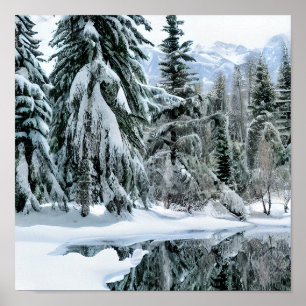 Poster Paisagem de Inverno Árvores Sempre Verdes Neve Mon