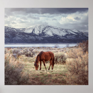 Poster Paisagem de inverno de Nevada.