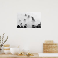 Paisagem de inverno Fotografia Preta e Branca