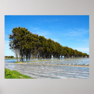 Poster Paisagem de Jersey em primavera