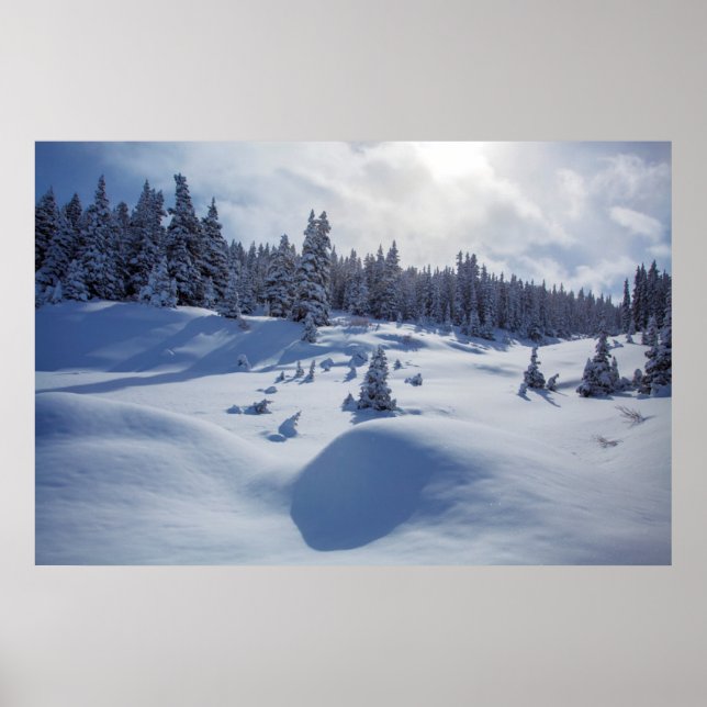 Poster Paisagem de Neve (Frente)