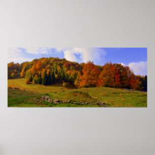 Poster Paisagem de outono Colorida