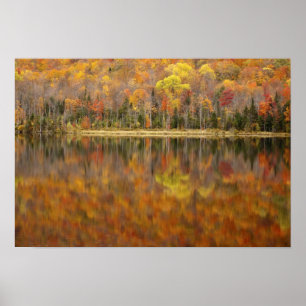 Poster Paisagem de outono com lago, Vermont, EUA