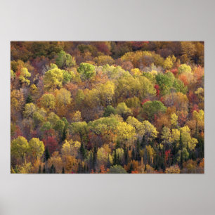 Póster Paisagem de outono, Vermont, EUA
