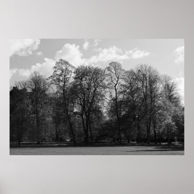 Poster Paisagem de Parque (Frente)