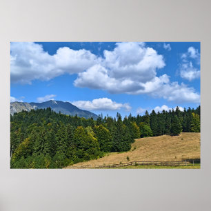 Poster Paisagem de Prado Montanhoso - Natureza Selvagem R