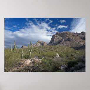 Póster Paisagem de Pusch Ridge
