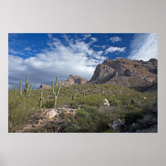 Póster Paisagem de Pusch Ridge (Frente)