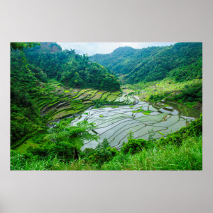 Póster Paisagem de terraço de arroz, Filipinas