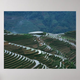 Poster Paisagem de terraços de arroz na montanha, 2