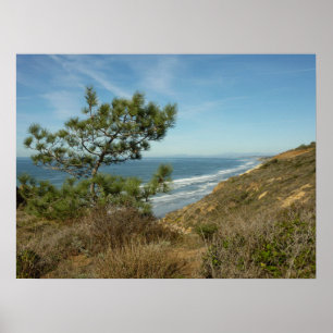 Póster Paisagem de Torrey Pine e Costa da Califórnia