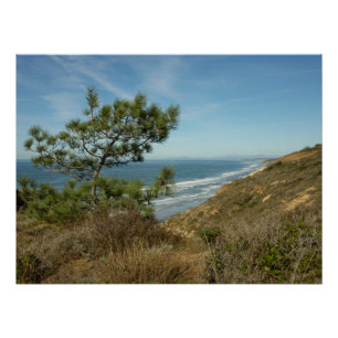 Póster Paisagem de Torrey Pine e Costa da Califórnia