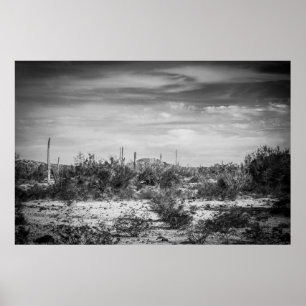 Poster Paisagem do cacto