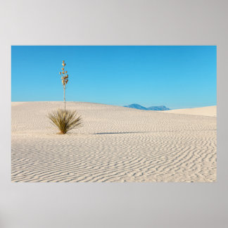 Poster Paisagem do Deserto de Areias Brancas e Planta de