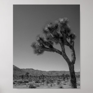 Poster Paisagem do Deserto de Joshua Tree - Foto do Parqu