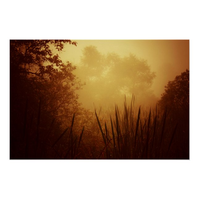 Póster Paisagem do nascer do sol ouro (Frente)