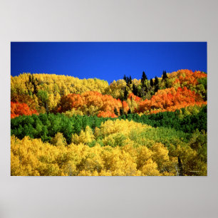 Póster Paisagem do outono