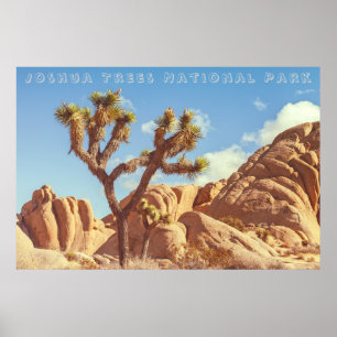 Poster Paisagem do Parque Nacional Joshua Trees