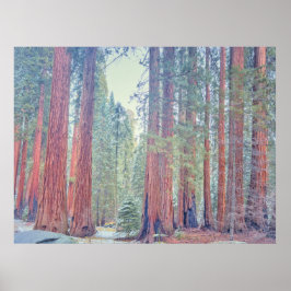 Poster Paisagem do Parque Nacional Sequoia
