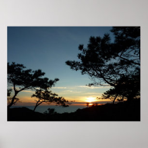 Poster Paisagem do por do sol III Califórnia do pinho de