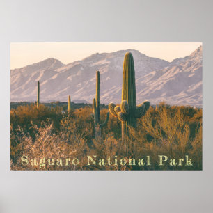 Poster Paisagem do Saguaro