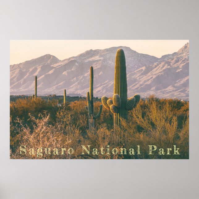 Poster Paisagem do Saguaro (Frente)