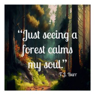 Póster Paisagem Florestal