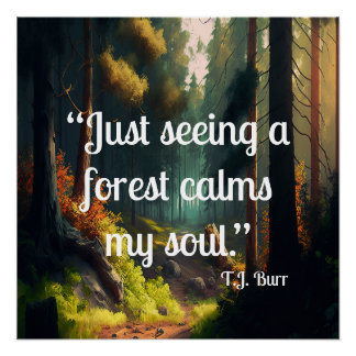 Póster Paisagem Florestal