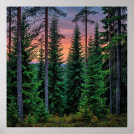 Poster Paisagem Florestal ao Pôr do Sol com Verde Exubera