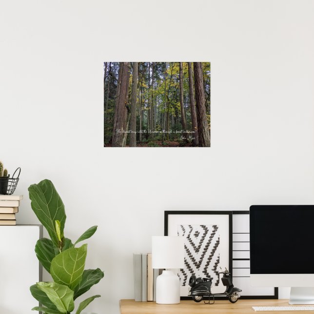 Poster Paisagem Florestal c/Citação de John Muir (Escritório em casa)