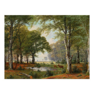 Póster Paisagem Florestal Noturna