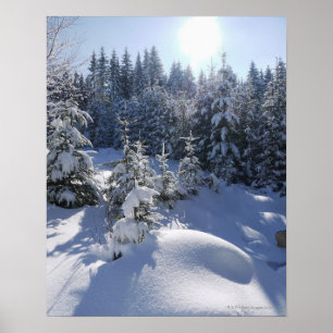 Poster Paisagem fria nevado 2 do inverno