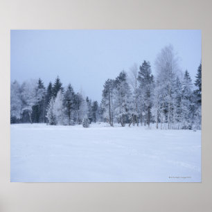 Póster Paisagem fria nevado 8 do inverno