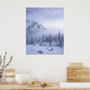 Poster Paisagem invernal, nevoeiro, floresta de abetos e