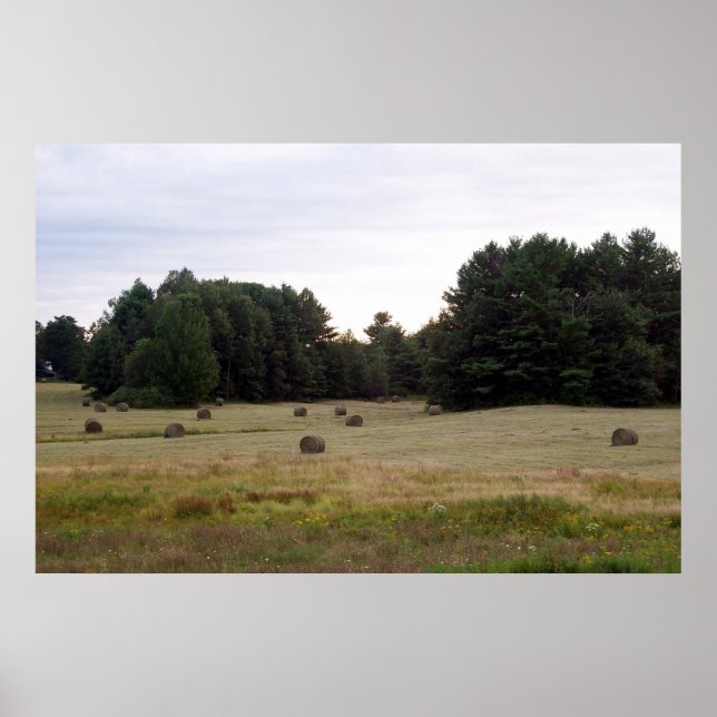 Póster Paisagem Maine (Frente)