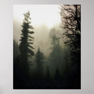 Poster Paisagem Moody Foggy Treescape